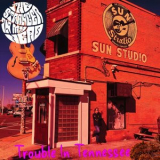 The Stranger In My Head - Trouble in Tennessee '2025