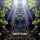 Ariel Kalma - Osmose III '2017