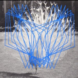 Thomas Ankersmit & Valerio Tricoli - Forma II '2011
