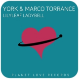 York - Lilyleaf Ladybell '2015
