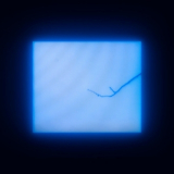 Agnes Obel - Parliament Of Owls '2020