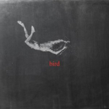 Low Island - bird '2025