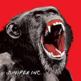Juniper Inc. - Juniper Inc. '2017