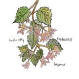 Caitlin Cary - Begonias '2005