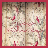 Calotype - Hosts and Ghosts '2020
