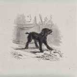 Billy Cobb - Black Hound '2024