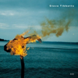 Steve Tibbetts - A Man About A Horse '2002
