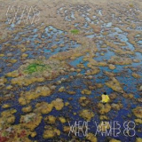 Maras - Where Whales Go '2022