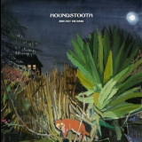 Houndstooth - Ride Out The Dark '2013