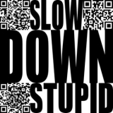 Bogdan Raczynski - Slow Down Stupid '2025