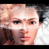 Deep Forest - Endangered Species (Remixes By Christian Hornbostel And Galleon) '2002