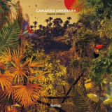 Camarao Orkestra - Nacao Africa '2020