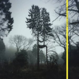 Open Yellow Circle - New Meridien '2024