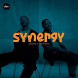 Mayas - Synergy '2025