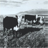Mark Kozelek - The Finally LP '2008