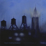 Peach Stealing Monkeys - The Missing Link Of Lo Fi '2009