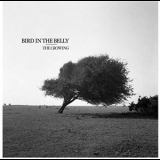 Bird in the Belly - The Crowing '2018