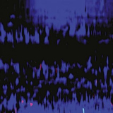 Valentino Mora - Biotope '2025