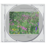 Kazufumi Kodama - 2 Years / 2 Years in Silence '2022