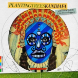 Kandiafa - Planting Trees '2020