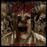 Regicide Decease - Anatomy Of Sickness '2011