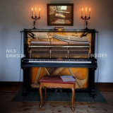 Nils Erikson - Insides '2024