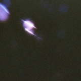 Bentley - Signals '2023