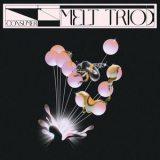 Melt Trio - Consumer '2022