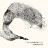 Connor Young - Flight of the Starlings '2023