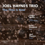 Joel Haynes Trio - The Time Is Now '2005