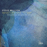 Steve Million - What I Meant to Say '2021