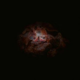 Emmerhoff - The Dying of the Light '2025