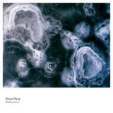 Pascal Savy - Dislocations '2018