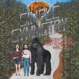 Simple Symmetry - Sorry! We Did Something Wrong '2021