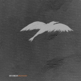 Sky Flying By - (Re) Routed '2018