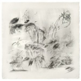 Ans M - Cicada Lullaby '2023