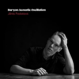 Janis Fedotovs - Baryon Acoustic Oscillation '2025