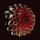 Jessica Moss - Unfolding '2025