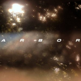 Arbor - Spira '2024