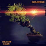 33Reasons - BONSAI '2024