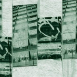 Feral Colony - No Consensus '2023