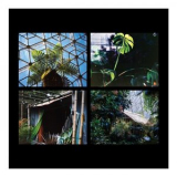 William Selman - The Weather Indoors '2023