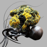 Ahmet Sisman - The Third Space '2023