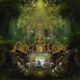 Ancient Core - Guidelines '2018