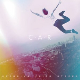 C.A.R. - Crossing Prior Street '2020