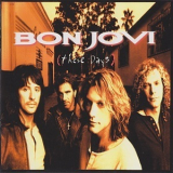 Bon Jovi - These Days '1995