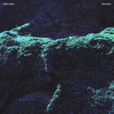 Nitecaller - Wander '2019