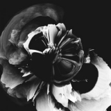 Frank Riggio - Empreinte Musicale, Vol. 1 '2021