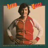 David Meece - Everybody Needs A Little Help '1978