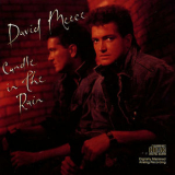 David Meece - Candle In the Rain '2009